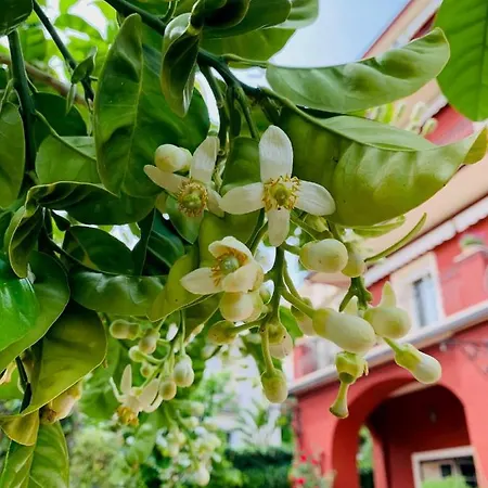 La Fabrique A Poupees - Et De Charme Au Coeur De Bed & Breakfast *