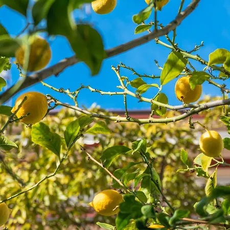 La Fabrique A Poupees - Et De Charme Au Coeur De Bed & Breakfast Menton